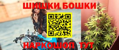 мдпв Партизанск