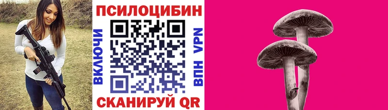 Псилоцибиновые грибы Psilocybine cubensis Якутск